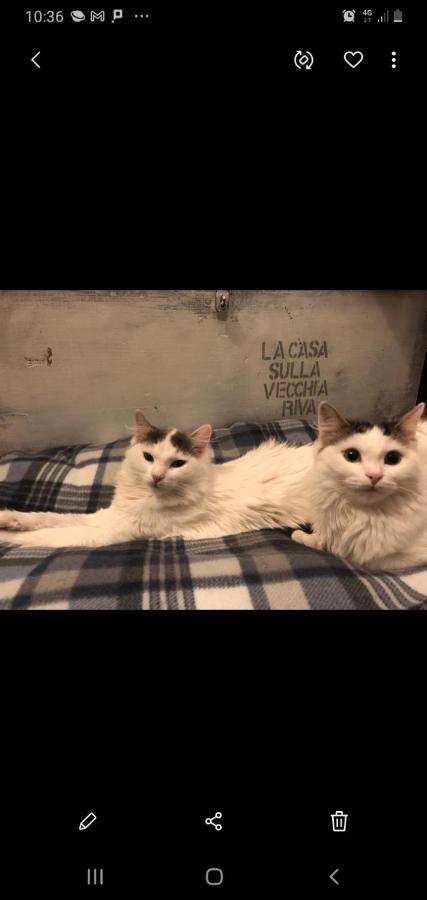 דירות פררה La Casa Sulla Vecchia Riva מראה חיצוני תמונה